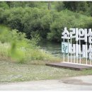 비내섬스케치