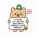 로얄캐닌코리아(유) | 고양이 사료 추천 오래 먹여본 로얄캐닌 인도어 7+ 솔직 후기