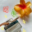 오가장 | 지금 가장 인기 있는 향수, 끌로에 오 드 퍼퓸 상세후기