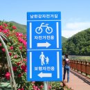 장미꽃사이로 이미지