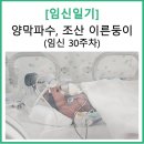 양수하나로약국 | 기록 ㅣ 조기양막파수 (양수터짐) 30주 조산 이른둥이...가천대길병원 고위험산모실 및 긴급 제왕절개 후기