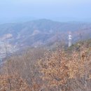 어유곡 Daum카페