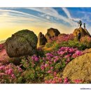 (구)공설운동장 앞 이미지