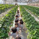 수향농장 이미지