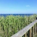 도청약국 | 제주 24시 약국 위치 정보 예약