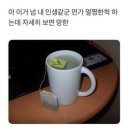 뻘떡낙지 이미지