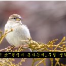 유림-1024 이미지