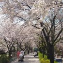 와우산배수지 이미지