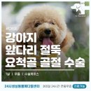 논산동물병원 이미지