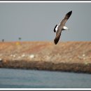 군산앞바다 이미지