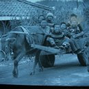 달구지 이미지