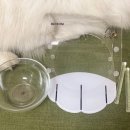 마이 펫테이블 이미지