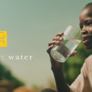 워터(water)
