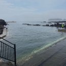 중문단지축구장 | 제주도 스노쿨링 스팟 | 판포포구, 법환포구, 구두미포구, 도리빨 꿀팁 솔직후기