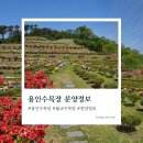 용인수목장 | 용인수목장 분양 후기 :: 사전계약이 꼭 필요한 이유와 방문팁