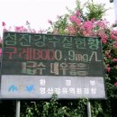 섬진장 이미지