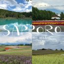 신영농장 | [공지] 삿포로 여름 여행 비에이·후라노 버스투어 내돈내산 후기