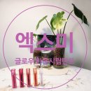 엑스로즈 | 립틴트 , 엑스미 글로우 바운시 틴트 5종 세트