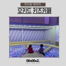 오키드키즈카페 강화도길목 김포수산공원 재방문 후기