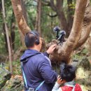 안덕초 교육가족과 함께하는 사운드 워킹 ‘큰 호응’[미래교육신문] 이미지
