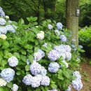 해찬농원 이미지