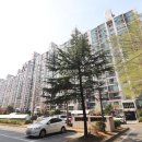 보람공인중개사사무소 이미지