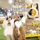 펫타리움 청담점 | 서울 강남 애견카페 추천 펫타리움 청담 주차 메뉴 포토존