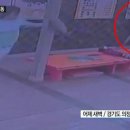 멧돼지집 이미지