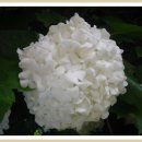 가평하늘정원 이미지