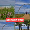 강원도 바다 추천 강릉 순긋해변 실제 방문 후기