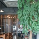 카페루식스 이미지