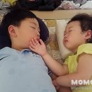 석수캠핑장 이미지