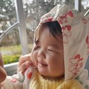 로은(roeun) | 12개월의 성장 기록