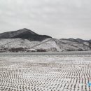 이정복농장 이미지