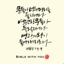 프로비디오 이미지