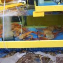 대성관광지 이미지