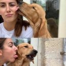 가비에떼 | 헛소리..밈파티 .. 그리고 후쿠오카 여행 Day 2 🦷🦷 (텐진, 다자이후, 나카스, 돈키호테)