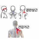 유성한의원 이미지