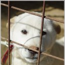 고향한정식 이미지