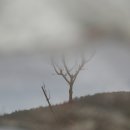 술푸는세상 이미지