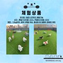 뿡뿡애견호텔 이미지