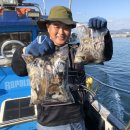 태안호스릴-24 | 충남 태안 안면도 쭈꾸미낚시 체험, 나 혼자 다녀온 후기와 진솔한 생생 스토리