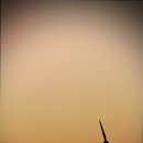 풀빌라잔향 이미지