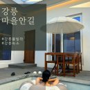 강릉펜션 마을안길 강릉감성풀빌라 커플여행 추천