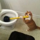 노영철외과의원 이미지