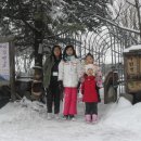 돈까스캠프 이미지