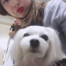 지오피부과의원 이미지