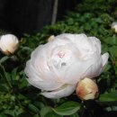 만리향 - 남원시 붕맛길 95 | 만리향