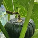 다감농장 이미지