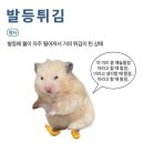 런린이의 마라톤 굴복기 (5)